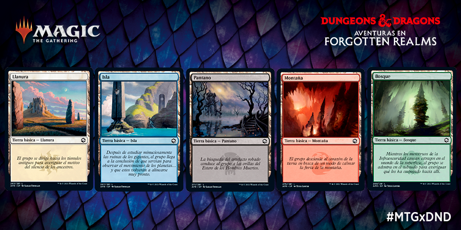 wizards_magicES's tweet photo. Estamos todos de acuerdo en que Dungeons and Dragons está repleto de narrativa, historia y flavor ¿no? 

Haciendo honor a esto, en "Aventuras en Forgotten Realms" encontrarás flavor hasta en las tierras básicas...LITERALMENTE.

#MTGxDND https://t.co/ab2oVoyz82
