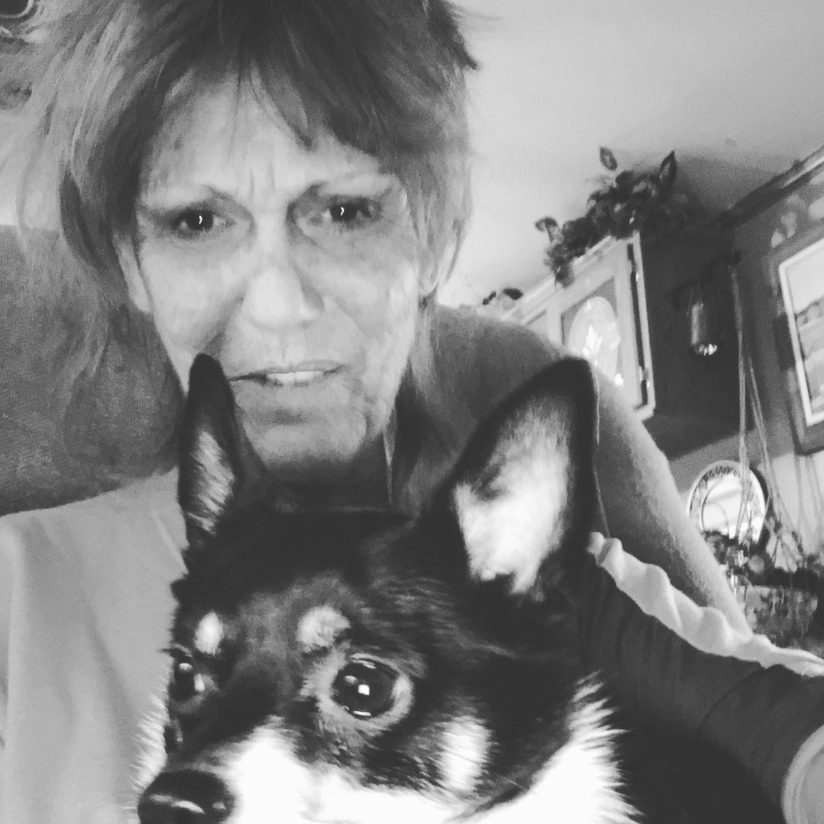 Gail Eaton tweet media