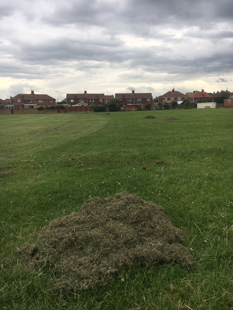 Awesome work from the lads to #GetTheGameOn after it was left unplayable by the council Thursday Morning. 2 evenings of blowing, mowing and raking club members have meant the lads can get a game in tomorrow. Thank you to Silver Tree Services for lending us equipment #ClubSpirit