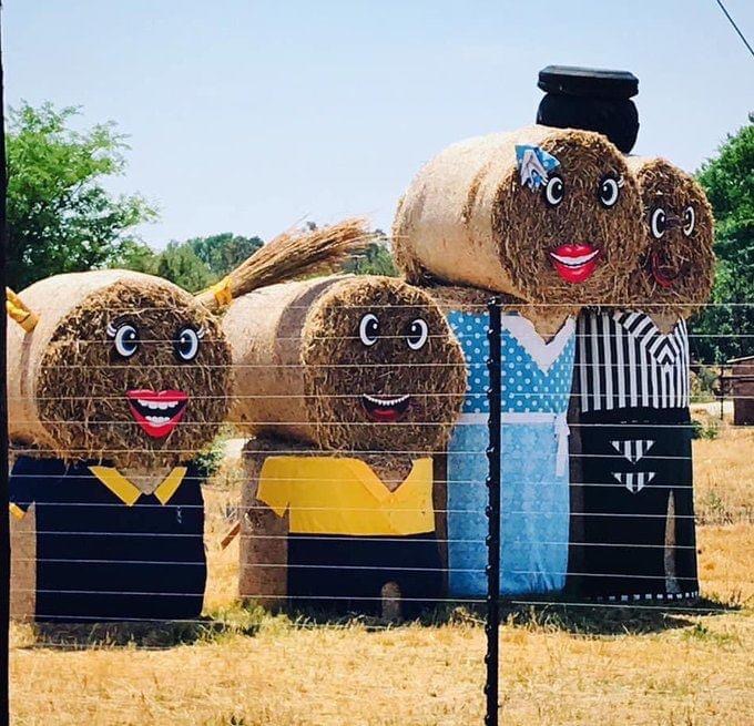 OfficialFarmgod's tweet photo. Meanwhile, somewhere in South Africa, a #farmer is selling hay bales like this. Aren’t they eye catching? 

What innovative marketing tactics do you use to draw attention to your farm produce? https://t.co/I2dW57inyd