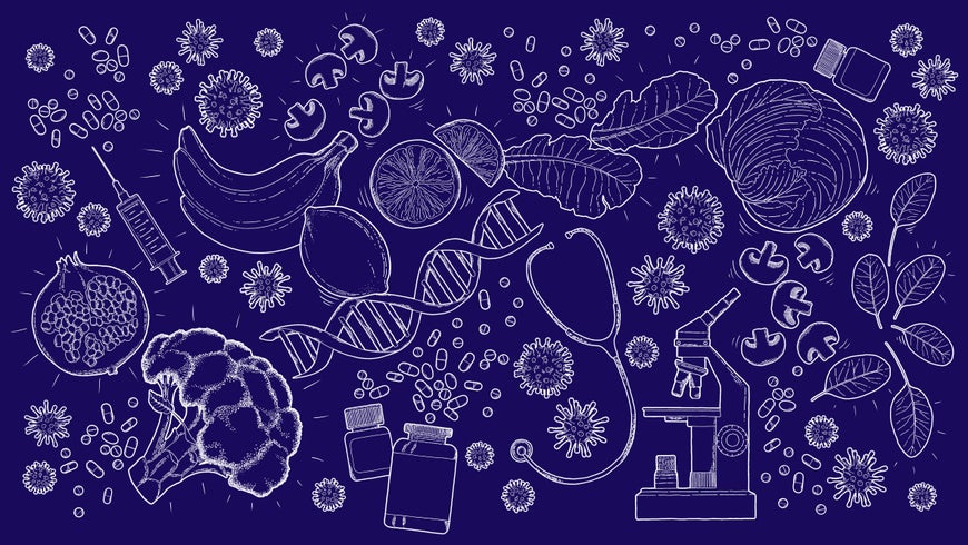 sciam's tweet photo. Nutrition, the Immune System and a Global Pandemic

How factors such as diet, lifestyle and underlying health conditions influence the body’s ability to fight infection https://t.co/NXxUdVCwzv via @SpringerNature https://t.co/ooXNj90k8C