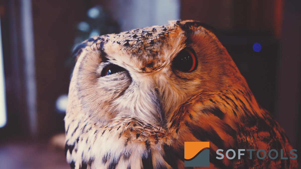 softools's tweet image. A common question posed to us &quot;is What skills and experience do I need to build an App in a low/no code platform?&quot; You spoke, we&apos;ve answered! 😁 Find out:
linkedin.com/feed/update/ur…

#nocode #DigitalTransformation #learning