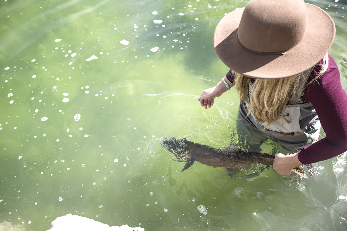DunMagazine's tweet photo. Conserving trout, a lake, and a way of life. Read about the Pyramid Lake Trout Camp and the work they are doing in “Lahontan Through Different Eyes”. Read more at https://t.co/ecUo26Ssv0

#dunmagazine #trout #PaiuteTribe #womenofflyfishing #flyfishing https://t.co/eIs39rntVu