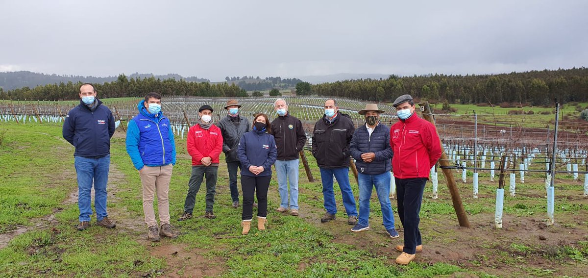 CNRCHILE's tweet photo. En #Puren, el Secretario Ejecutivo, @fetchile, visitó a la Comunidad Indígena Buchahueico, que en convenio con la Viña San Pedro, producen vino Mapuche de exportación. Durante el recorrido visitó al Lonko Guillermo Curin acompañado del presidente de la Comunidad, Florentino Curin https://t.co/p7z8HyYRcI
