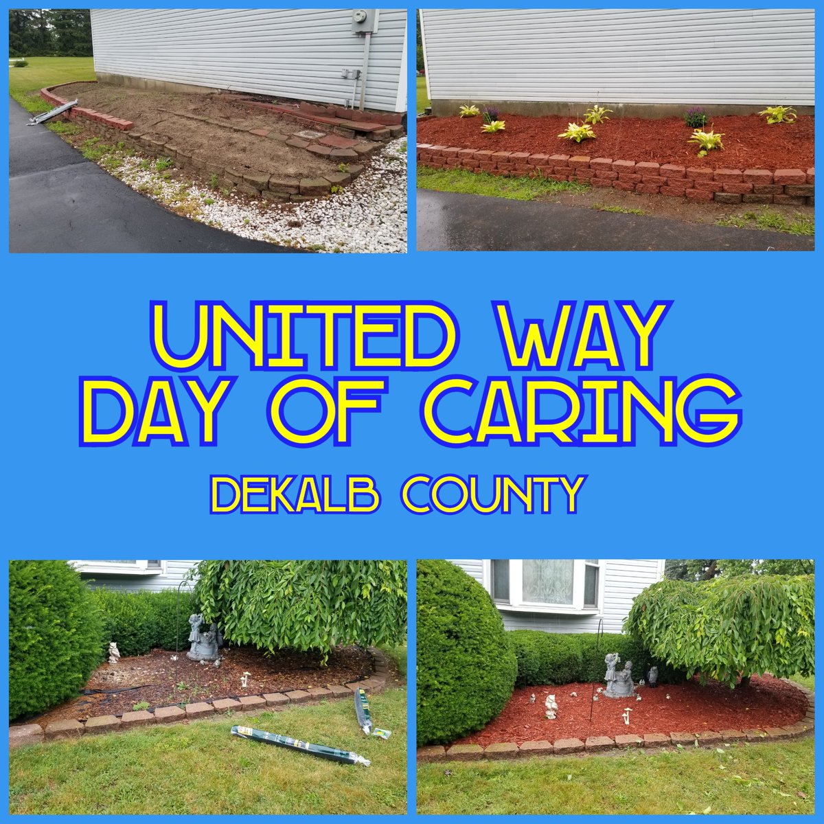 Sarah Liggett tweet media