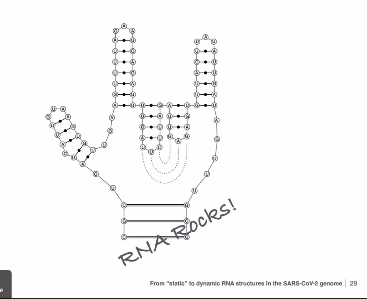 SelFdz's tweet photo. Spotted at the RNA Structure Conference by @danny_incarnato. #RNARocks🤘🏽 @RNASociety @UCIrvine @UCI_SPPS https://t.co/h7iSrKyXmG