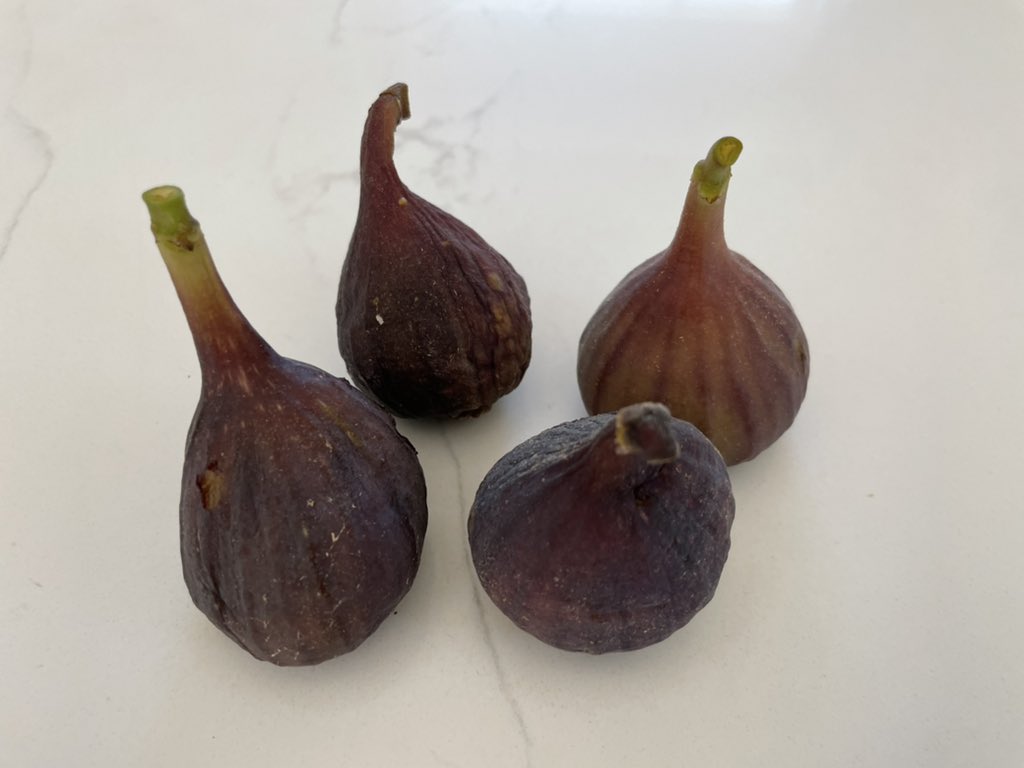 Dan Santat tweet media