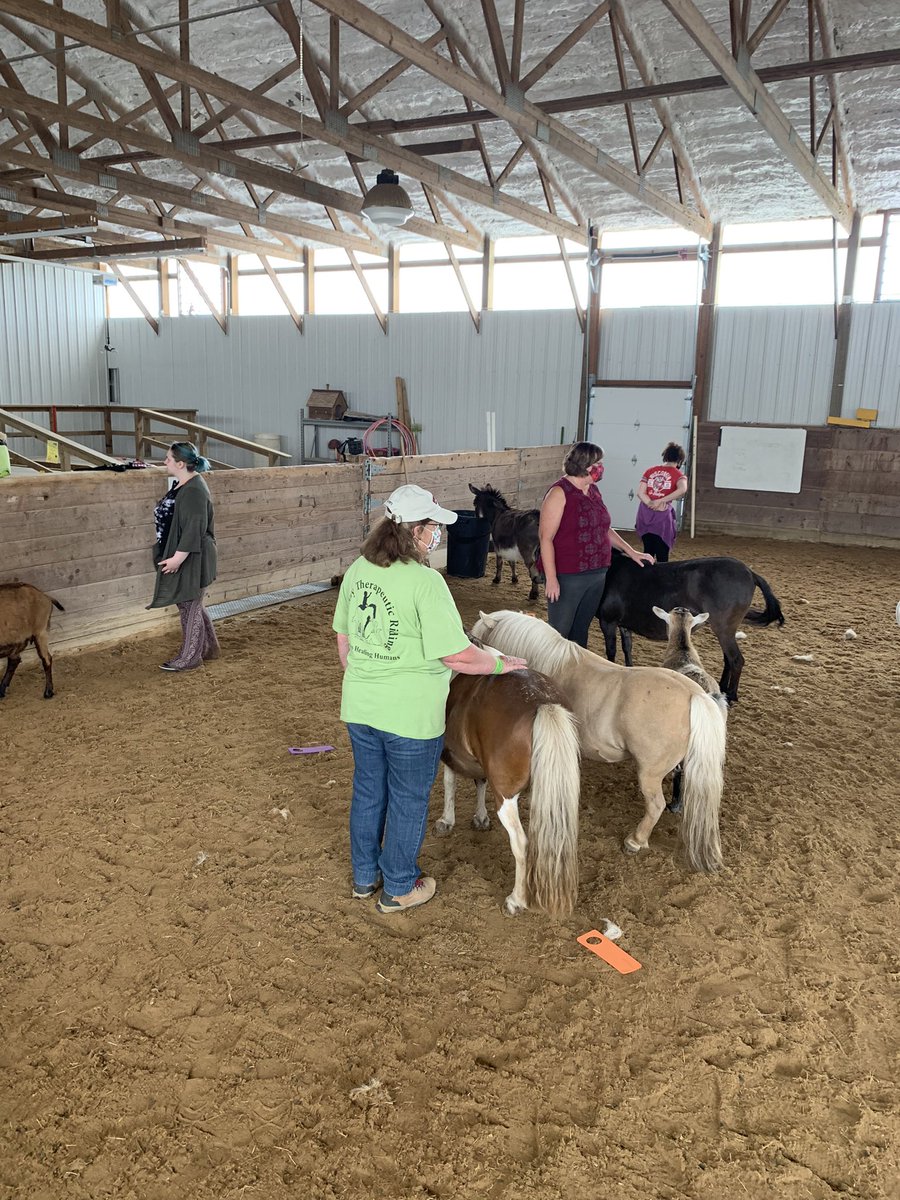 MrsONeil_MCHS's tweet photo. Day 15 of #SummerSession1 We baked cupcakes and cookies at Main Stay, played a game with the little herd, introduced our families, showed them our garden, and had a last day of session 1 party! Can’t wait for session 2!!!#GrowingForward #WarriorPride156 #Summer2021 🧡🖤 https://t.co/TKVPTRDYNh