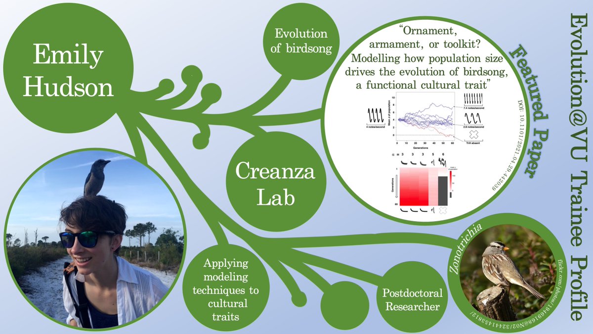 EvolutionVU's tweet photo. This week’s #EvolutionVU trainee is @zononotes, a postdoc in the @CreanzaLab! She applies modeling methods to cultural traits &amp; her research focuses on the #evolution of birdsong, particularly how early experience impacts song discrimination/behavior/learning. 🐦 #EvoVUTrainees https://t.co/trnUyj1imj