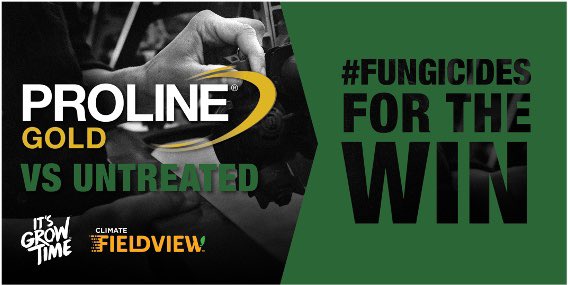 corryatabridge's tweet photo. Meet Proline GOLD ๐ our newest canola fungicide. Two powerful modes of action, sclerotinia wonโt know what hit it. Proline is for results!
Conduct your own trial to see the #ProlineGold difference using @FieldViewCanada
#Bayer4CropsCA
#ItsGrowTime
#FungicidesForTheWin https://t.co/TJaJOdGsVJ