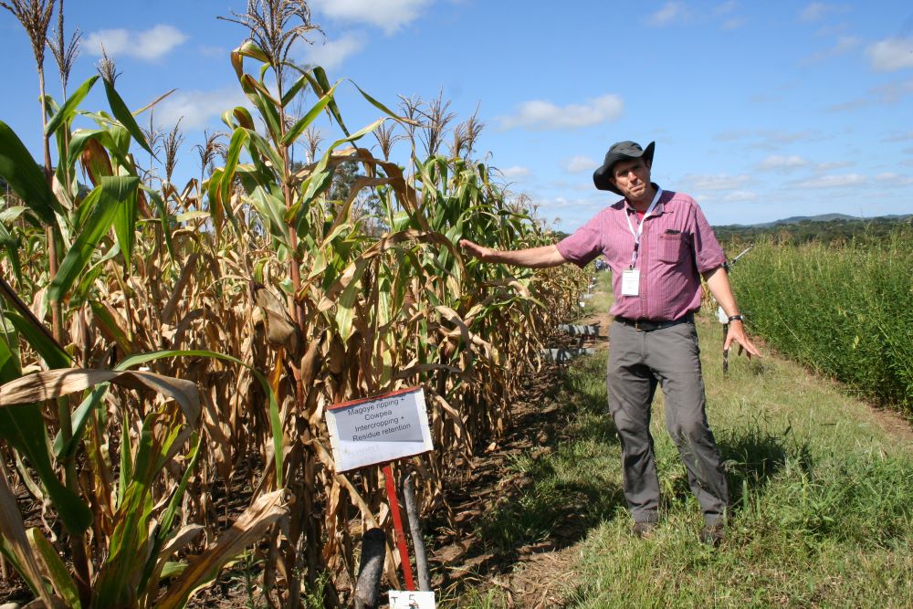 CIMMYT's tweet photo. Increased resilience against climate stress will be the “strongest driver” for smallholders to make the switch to #ConservationAgriculture, says CIMMYT’s Christian Thierfelder in a new @GCRF blog: https://t.co/Ep6s3JgjSS

@UniversityLeeds @busybeeChris @ThirzeHermans https://t.co/OKE2t18Pzr