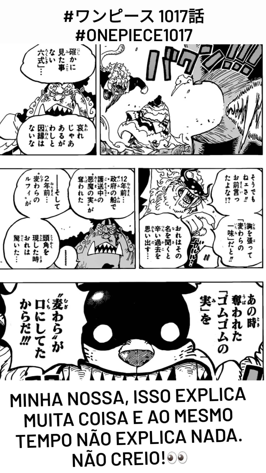 Rodrigo Mesquita Ro Onepiece1017 ワンピース1017話 T Co 7kadqsv70x Twitter