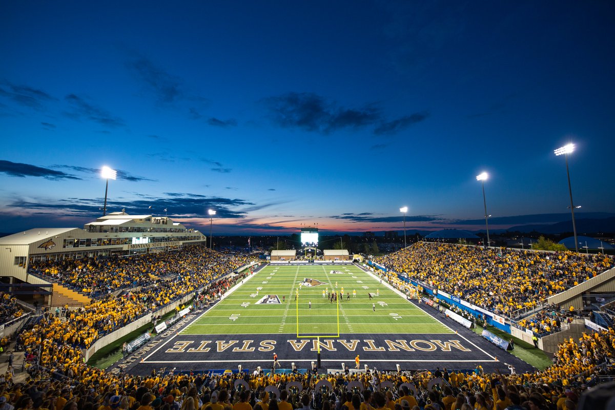 MSUBobcats_FB's tweet photo. 💯% capacity this Fall, time to pack Bobcat Stadium. See you September 11 for #GoldRush!!

#GoCatsGo | #BobcatBuilt https://t.co/EMw5RMdkMD