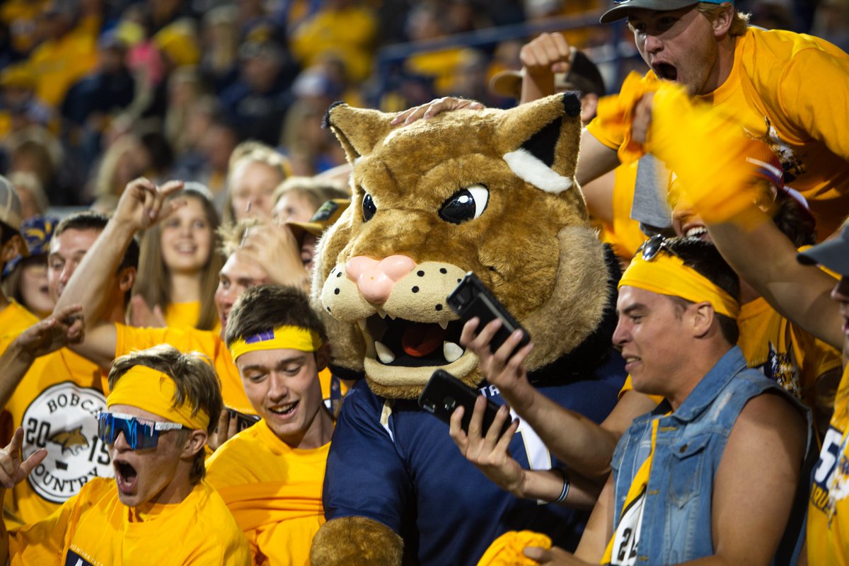 MSUBobcats_FB's tweet photo. 💯% capacity this Fall, time to pack Bobcat Stadium. See you September 11 for #GoldRush!!

#GoCatsGo | #BobcatBuilt https://t.co/EMw5RMdkMD