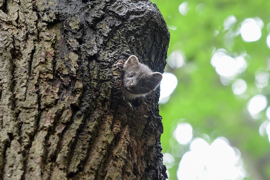 We hebben een #vacature voor:
🌿 een projectmedewerker voor de Friese Wadden bit.ly/3xUWlry
🍃 een projectleider in Drenthe bit.ly/3dbnO07
een projectmedewerker