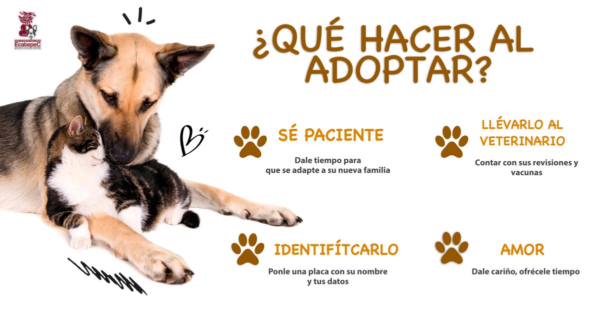 #Adopción |  Si estas pensando en brindarle un hogar a un pequeño de 4 patas, debes tomar en cuenta que te convertirás en un dueño responsable y que tu nuevo amigo necesitara cuidados en específico.
#DIFEcatepec #MunicipioConValores