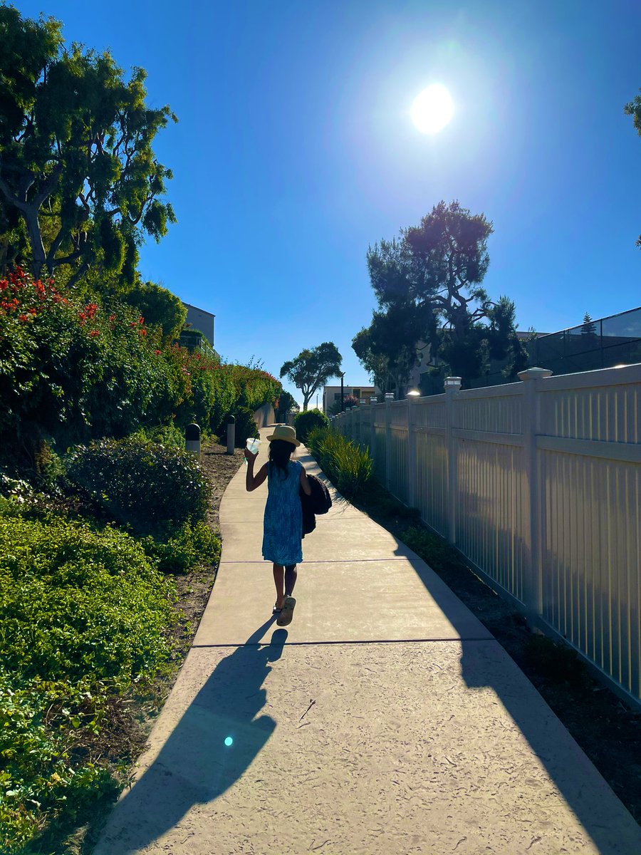 aneeeleigh's tweet photo. Back to the Ocean 🌊 https://t.co/7ooNsXuJfr