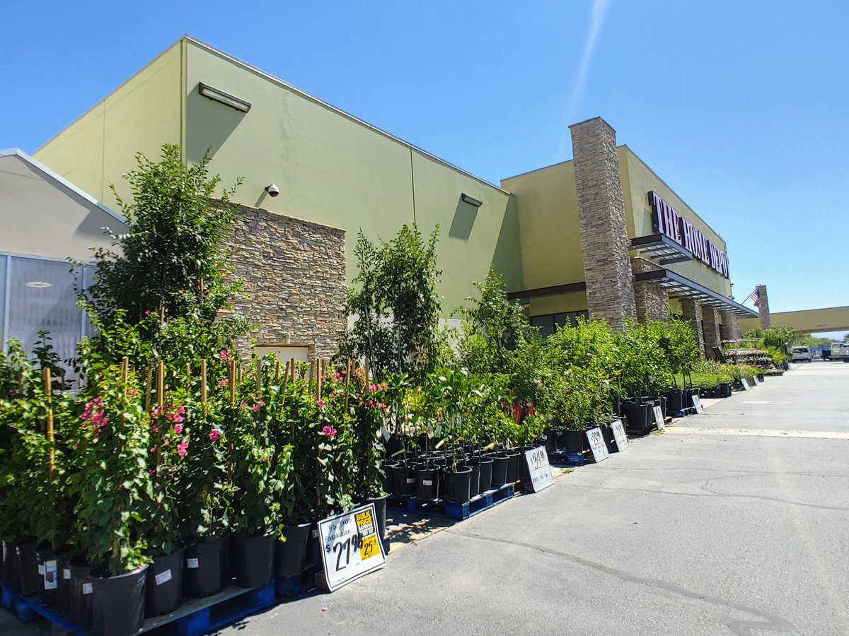 NatalieLubinsky's tweet photo. Palm Springs is ready for the weekend! 🌵🌻☀️ @HD8526 @Crippen1026 https://t.co/iya13NnDb5