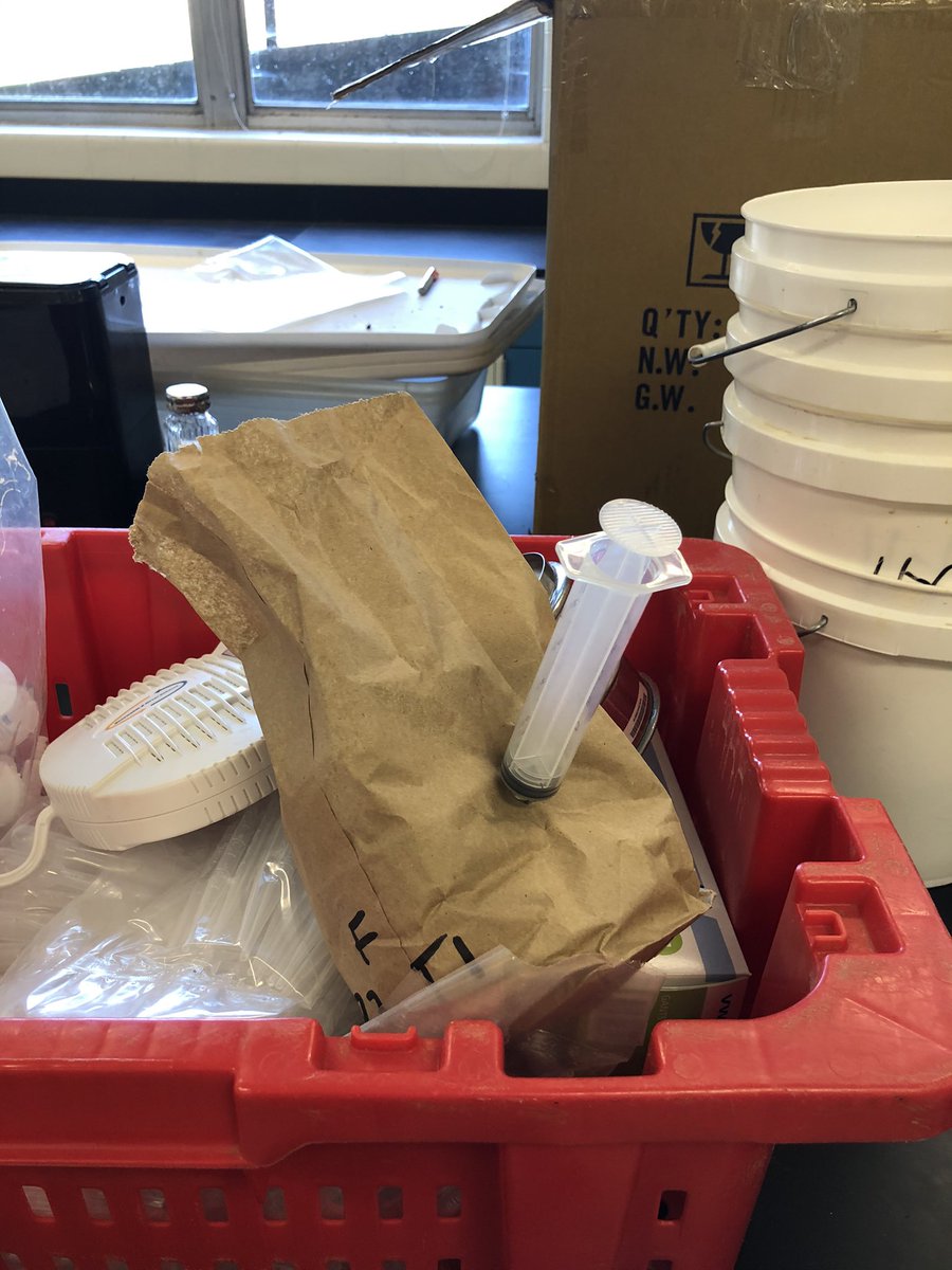 Zachariah Hansen tweet media