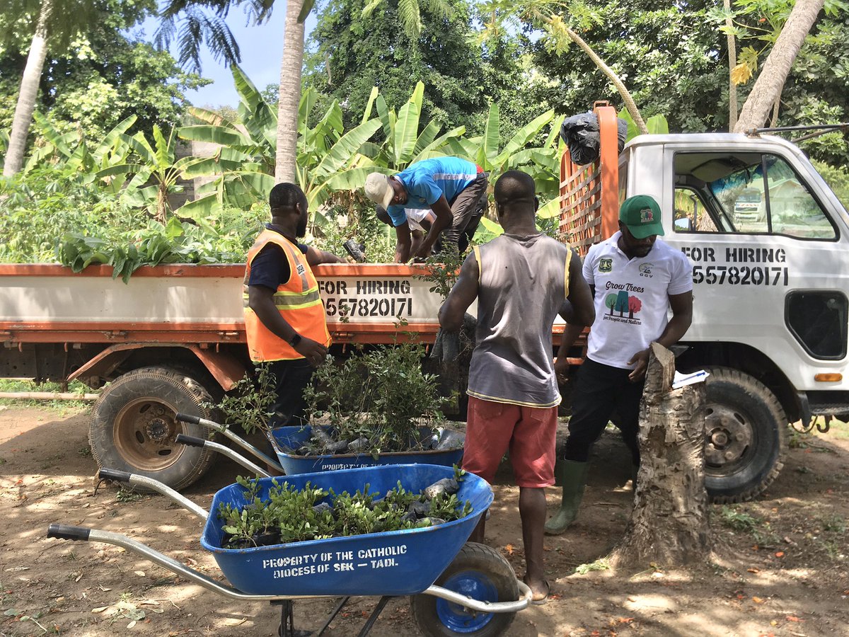 GoshenGlobal's tweet photo. Lifting of 2500 Tree seedlings and Ornamentals at the #GoshenGlobalVision’s nursery at Essikado by NADMO Shama ahead of distribution in the Shama District
#GGVsupport
#USFSproject
#TreesStopErosion https://t.co/9psd7ZBK3U