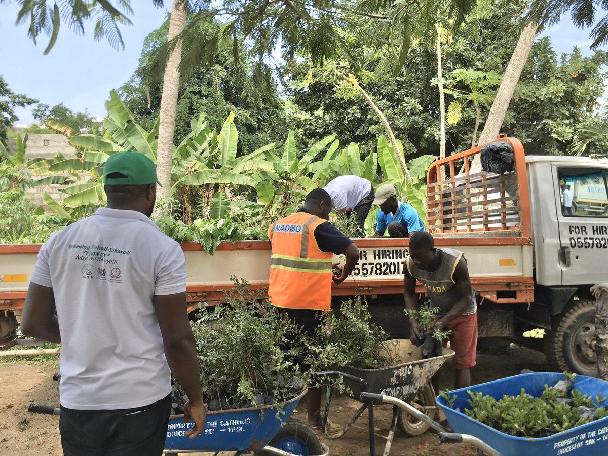 GoshenGlobal's tweet photo. Lifting of 2500 Tree seedlings and Ornamentals at the #GoshenGlobalVision’s nursery at Essikado by NADMO Shama ahead of distribution in the Shama District
#GGVsupport
#USFSproject
#TreesStopErosion https://t.co/9psd7ZBK3U