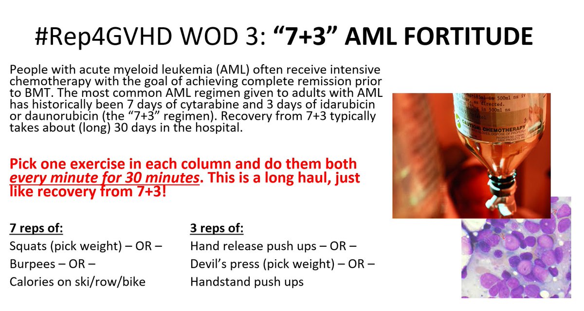 sghmd's tweet photo. Hello Team #Rep4GVHD raising $ for @marrowonthemove!  It's time for WOD #3 raising awareness for #leukemia. 

This workout is similar to @CrossFit #Fortutide, but we have remained it #AML Fortitude, a 30 minute EMOM of 7+3 reps of exercises below.

Choose your own adventure! https://t.co/UBohSC1YOI