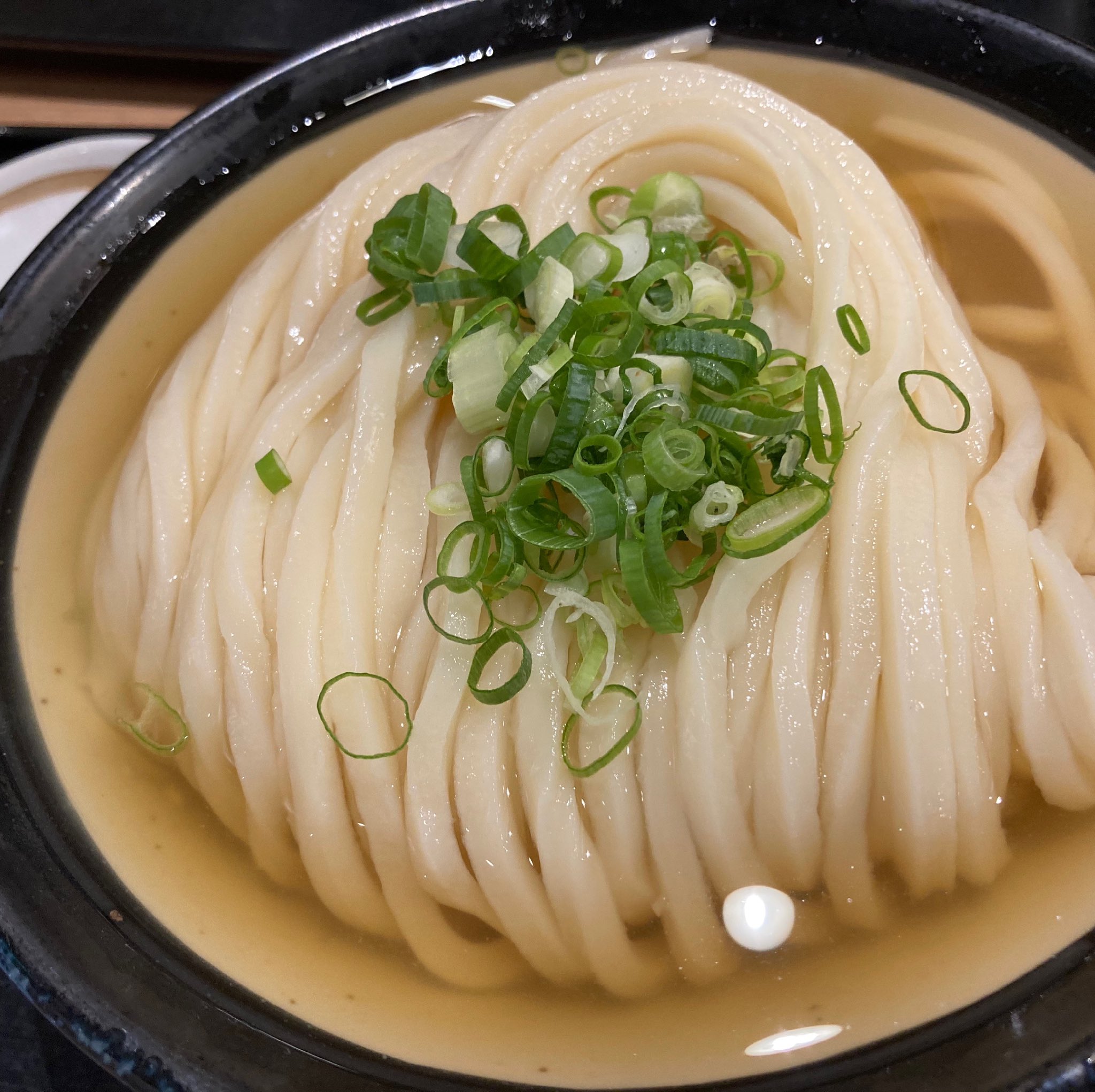 日本橋 讃岐うどん ほし野 おはようございます 日本橋讃岐うどんほし野です 本日は天気も良く 朝から暑いですね 冷たい うどんはいかがでしょうか テイクアウトも出来ます 日本橋讃岐うどんほし野 讃岐うどん アクアリウム コレド室町 三