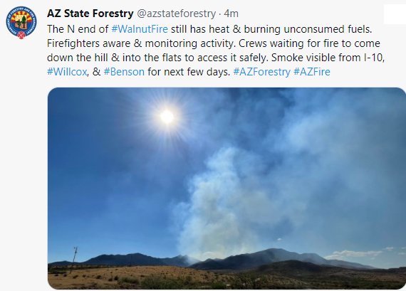 CCFirenIncident's tweet image. 1621: Per #DFFM- The N end of #WalnutFire still has heat &amp;amp; burning unconsumed fuels. Firefighters aware &amp;amp; monitoring activity. Crews waiting for fire to come down the hill &amp;amp; into the flats to access it safely. Smoke visible from I-10, #Willcox, &amp;amp; #Benson for next few days.