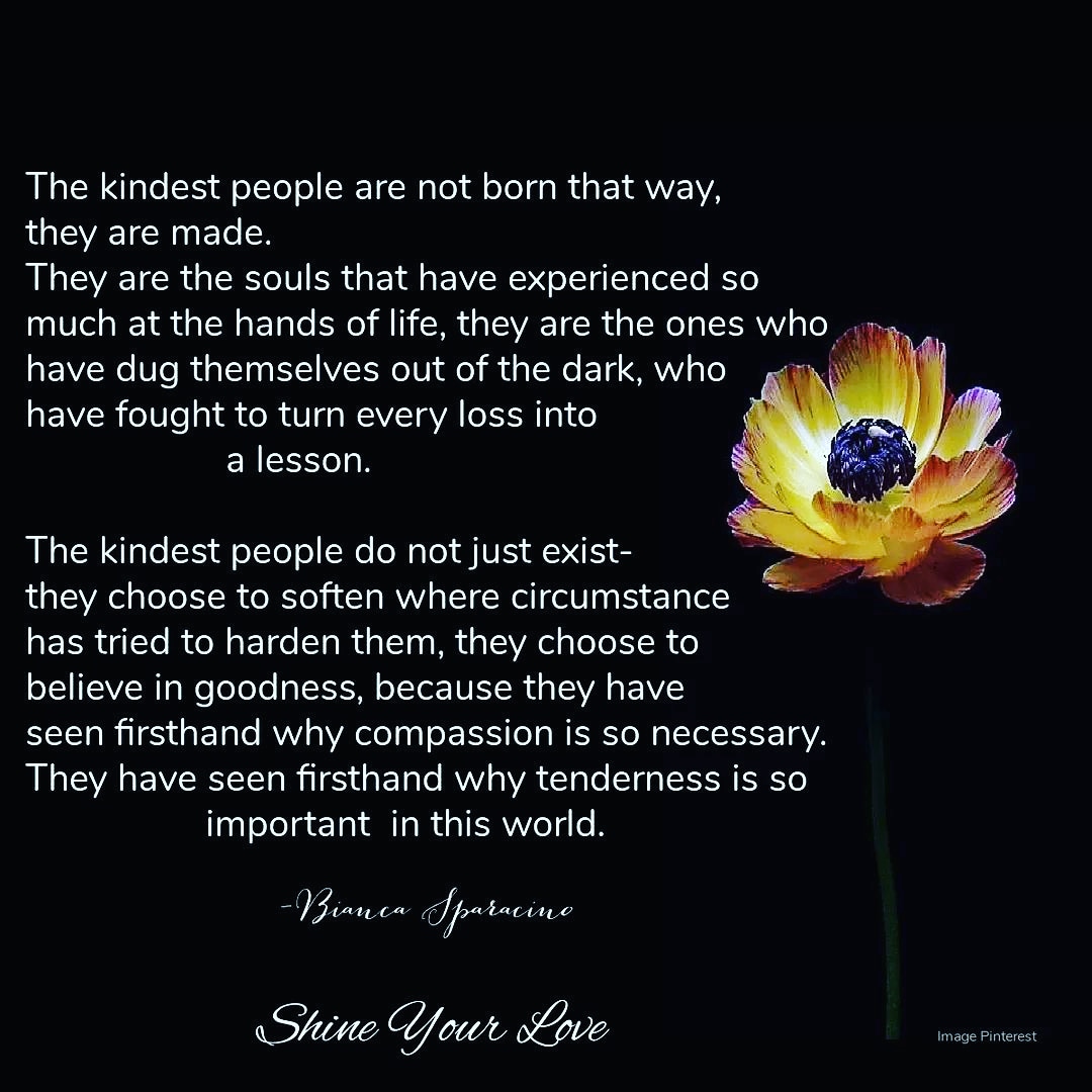 JimmKyalo's tweet photo. ❤️The kindest people are not born that way, they are made. They are the souls that have experienced so much at the hands of life, they are the ones who have dug themselves out of the dark, who have fought to turn every loss into a lesson, ❤️Image Pinterest- edit: JMS https://t.co/3jwTT7ESJZ