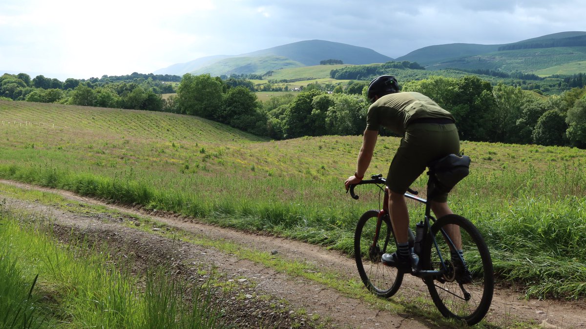 Markus Stitz tweet media