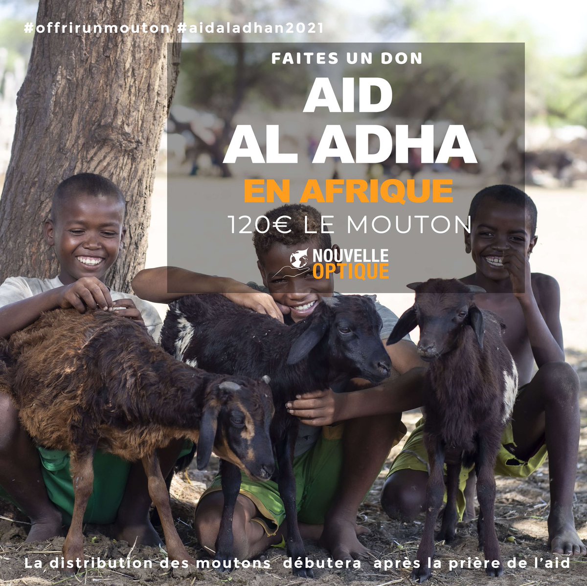 Nouvelleoptique's tweet photo. RESTE 1426 moutons 🐑 disponibles !
L'AID AL ADHA VIA NOUVELLE OPTIQUE EN AFRIQUE
https://t.co/gJbKnqx0n2
120€ par mouton
M
Aid 2020 en images :
https://t.co/yFkxFmcsdU
#aidaladha2021 #offrirunmouton #mouton #aidelkebir2021 #aidelkebir #sacrifice #aid2021 #aid #fete https://t.co/nvEF3ytA0B