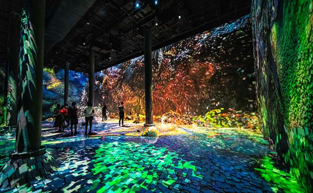 virtual reality enviroment comprising painterly flora-shaped elements