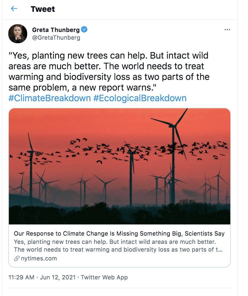 May was also very active month for Greta, she promoted lots of ecars, solar and wind.Here she shows her hatred to birds. She knows that millions of birds, eagles, bats are dying each year from wind turbines. Cats don't kill eagles btw.She's saying kill them all! Top Ecosider: