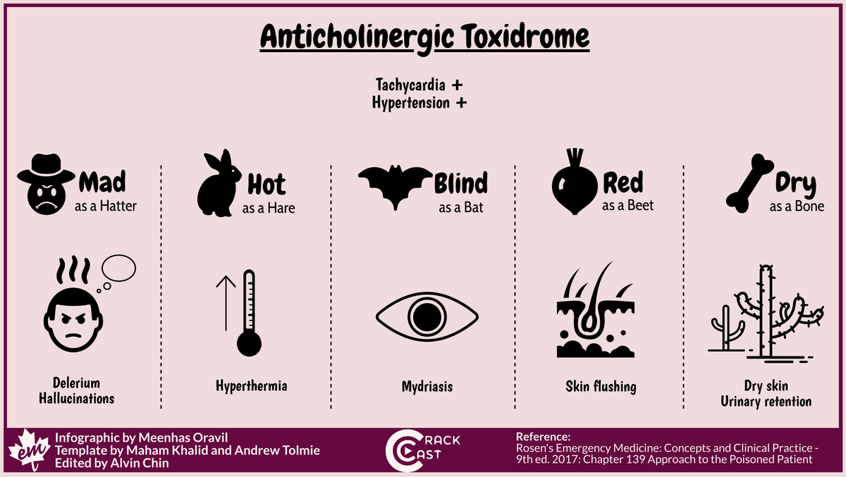 WeAreCanadiEM's tweet photo. Check out the first 5 flashcards in our @crack_cast Visual Flashcards Series! https://t.co/a17RWOeE79
Now we need YOUR feedback to grow the series! Which Rosen's chapters and concepts you want to see on #FlashcardFridays?
Give us your feedback: https://t.co/4JT0gDSXsB https://t.co/eixklLsL1Y