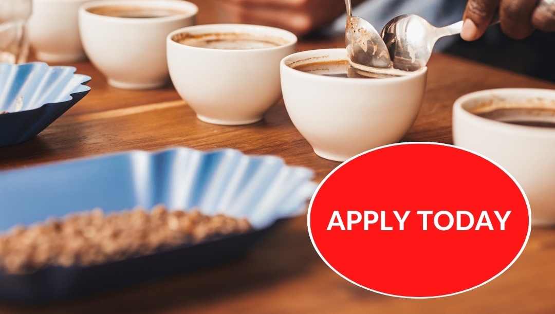 Applications are now open for NKG PACE, a training program offering members of the Black community the opportunity to become green-coffee quality specialists. Want to be a PACE Partner? Visit our site for more info about the program and to apply: bit.ly/PACEApply