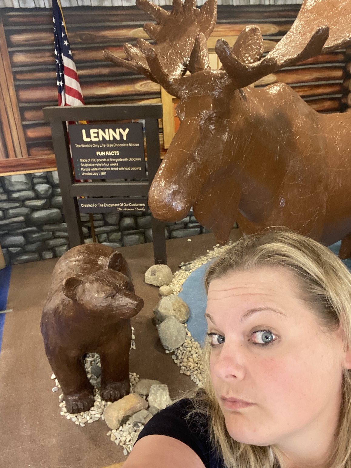 How Big Does a Moose Get: Unveiling the Enormous Size