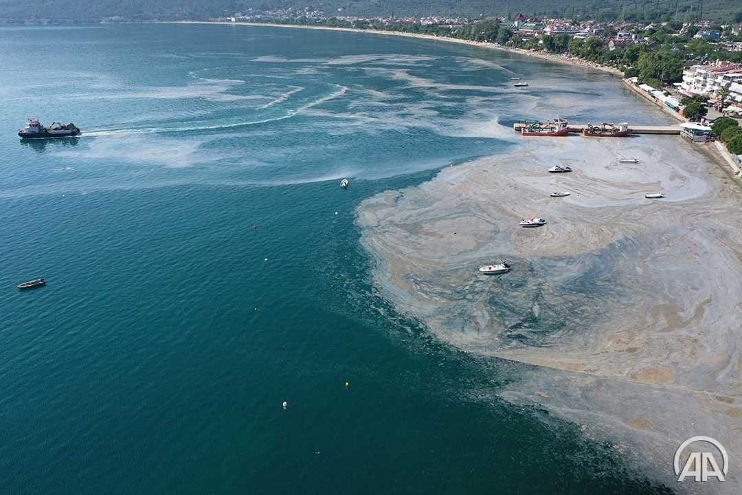Çevre ve Şehircilik Bakanlığınca ilan edilen "#MarmaraDenizi Koruma Eylem Planı" kapsamında #Erdek sahillerindeki #müsilaj temizleme çalışmaları aralıksız sürüyor. 

📸: Ali Atmaca /Anadolu Ajansı