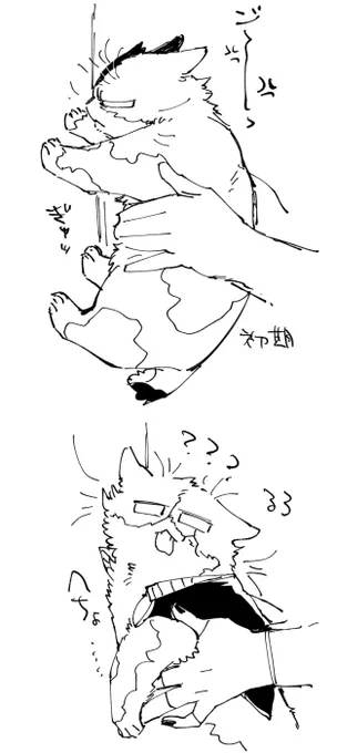 リクボの㌧猫賢さチャレンジ 