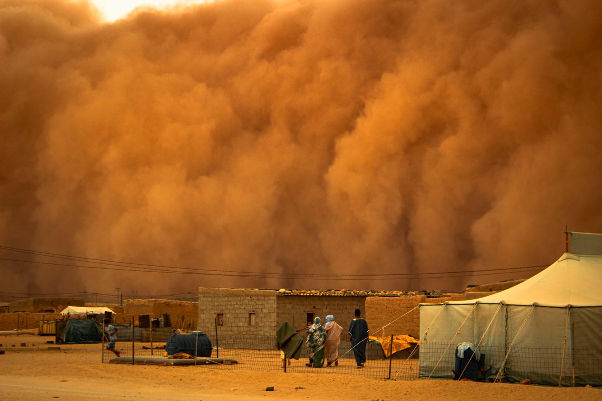 UNMAS's tweet photo. The 3 June sandstorm demonstrates that the force of nature can affect previously identified contamination areas, move explosive hazards and pose additional challenges to clearance teams in the Territory of #WesternSahara.

#UNMAS  📷: Adad Ammi https://t.co/PqfnjpV6FH