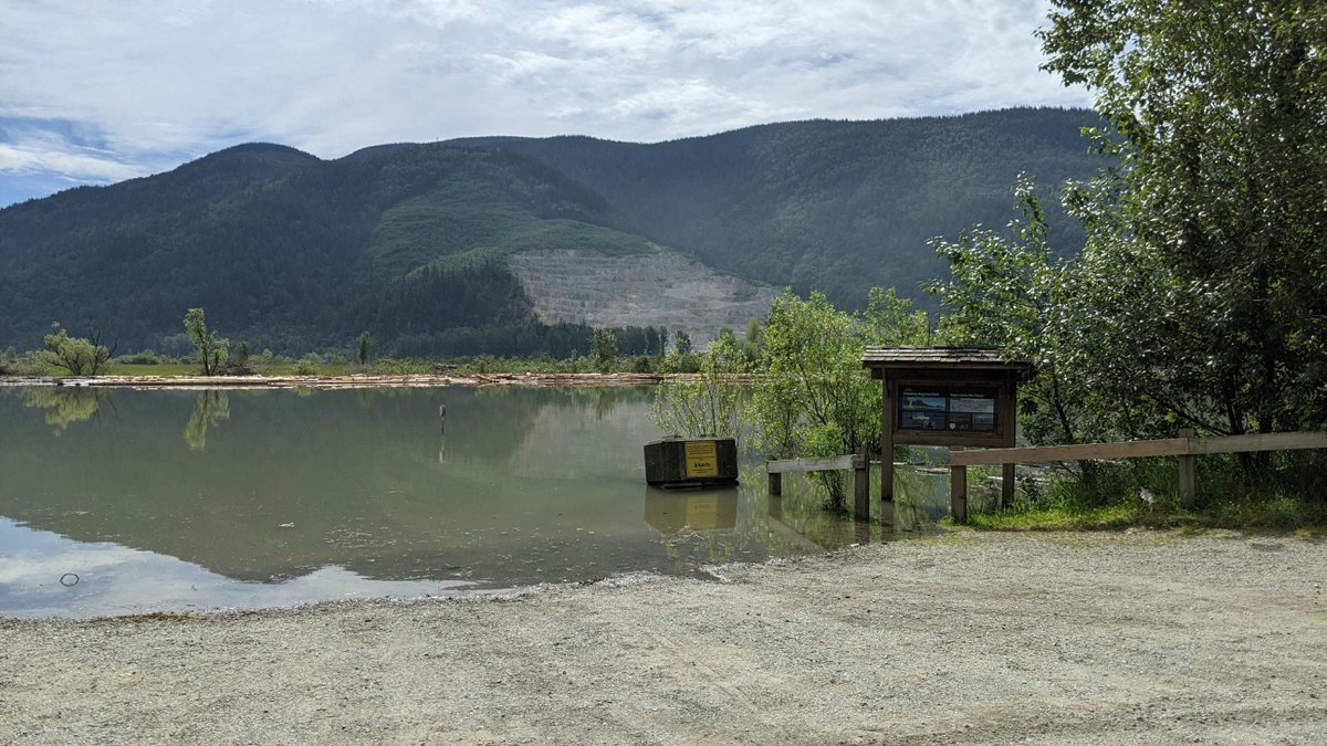 FraserValleyRD's tweet photo. Effective tomorrow (Saturday, June 26), Dewdney Regional Park is closed due to high water until further notice. #MissionBC #FVRDParks https://t.co/C2UyehH8Ie