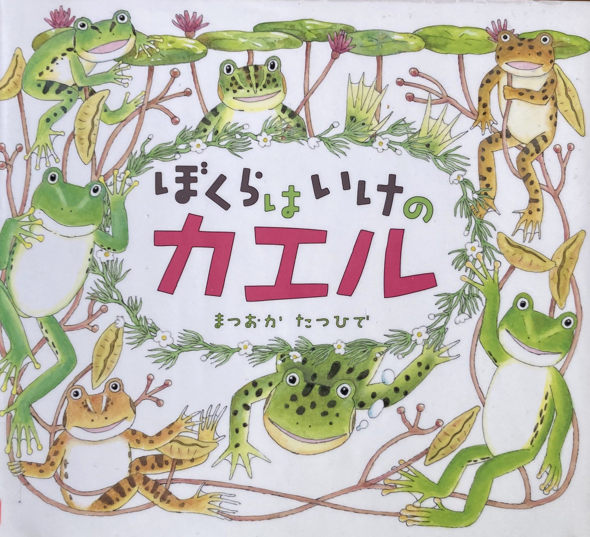 くろめ おたすけこびとのにちようび 文 なかがわちひろ 絵 コヨセ ジュンジ カメ好き3歳のお気に入り 去年も紹介したけど まだまだブーム中 絵本を見ながらままごとで弁当作って 布団を積んだ上で カメさんの上でお弁当食べてる シーンを再現し