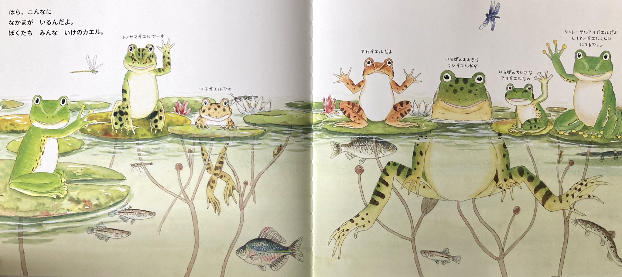 くろめ おたすけこびとのにちようび 文 なかがわちひろ 絵 コヨセ ジュンジ カメ好き3歳のお気に入り 去年も紹介したけど まだまだブーム中 絵本を見ながらままごとで弁当作って 布団を積んだ上で カメさんの上でお弁当食べてる シーンを再現し