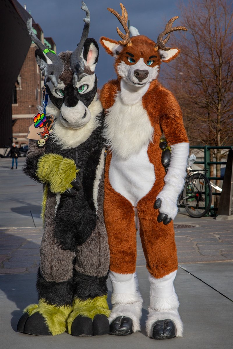 Noweti / Deerweti tweet media