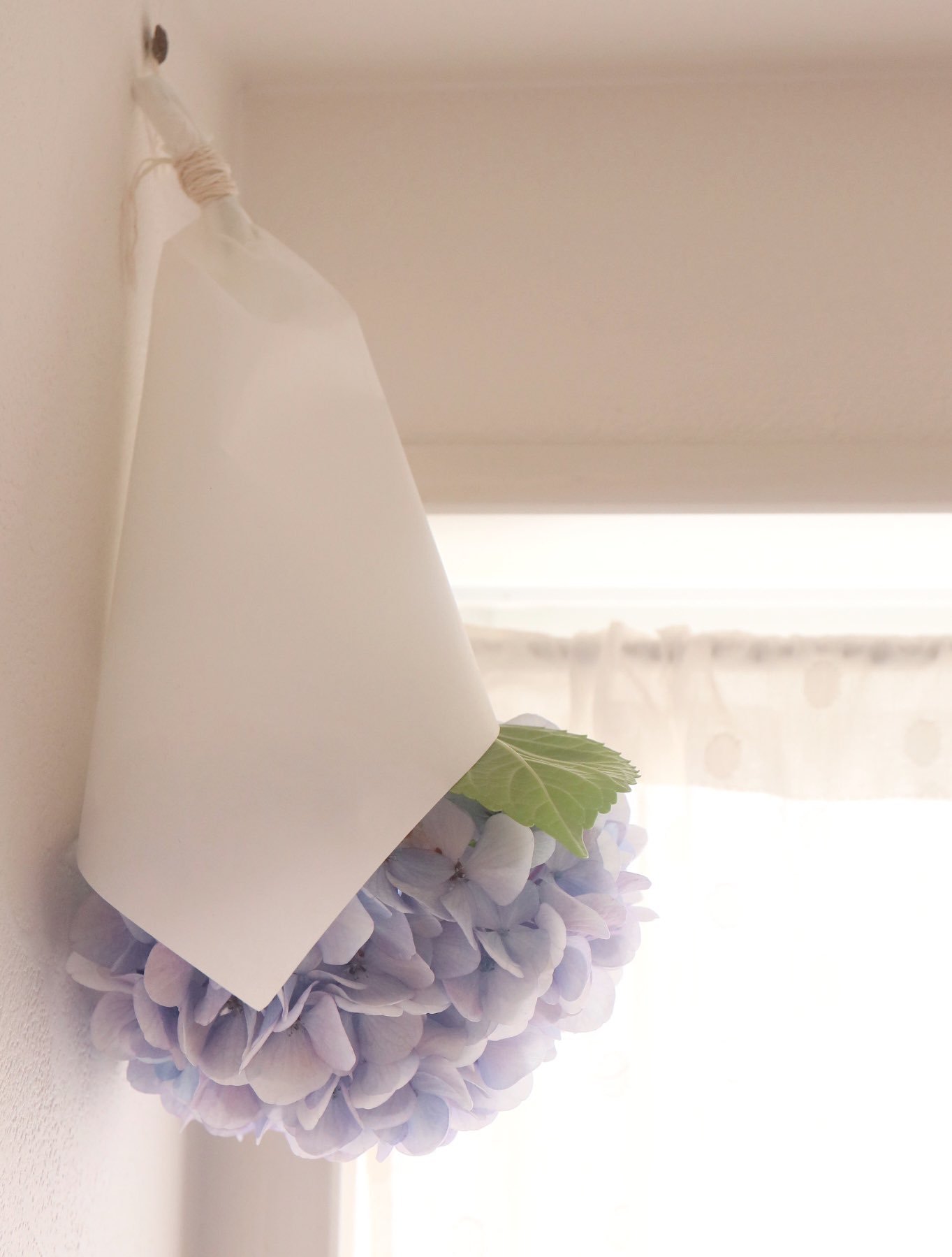 紫陽花のおまじない Twitter Search Twitter