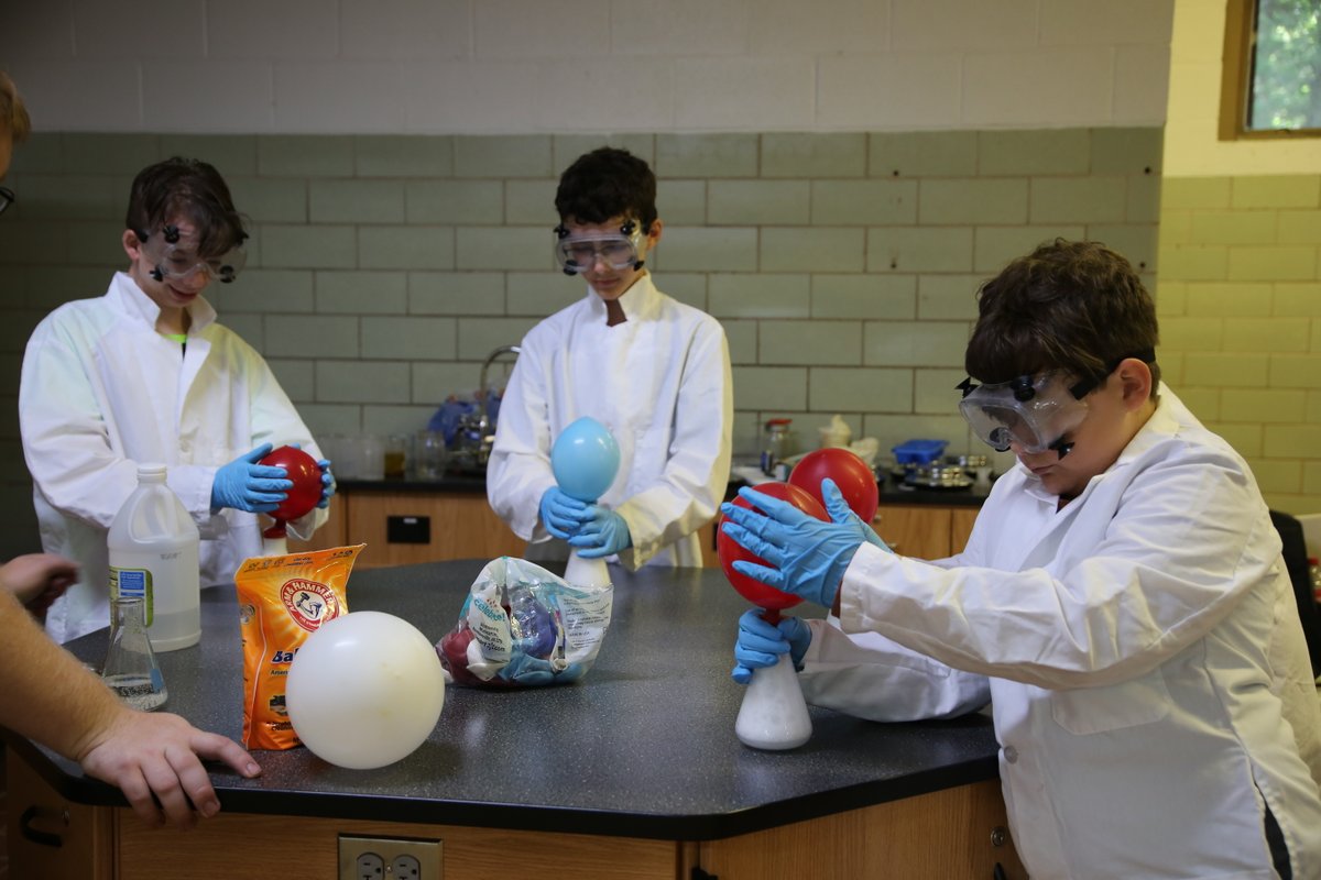 Middle TN Council tweet media