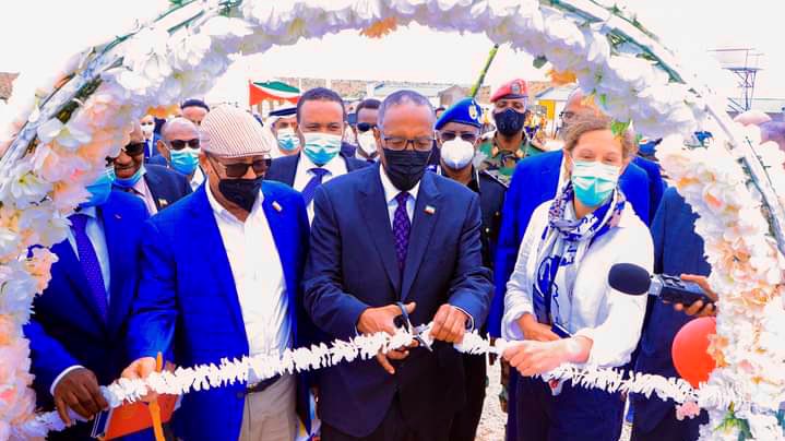 Stuart Brown 鮑旭 tweet media