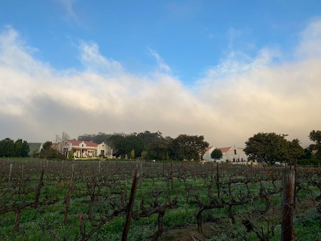 W I N T E R in the C A P E Cold front and rain on its way to Ormonde. Be sure to have a beautiful bottle of Shiraz waiting. #Ormonde #OrmondeVineyards #CapeWines #CapeWinters #winter