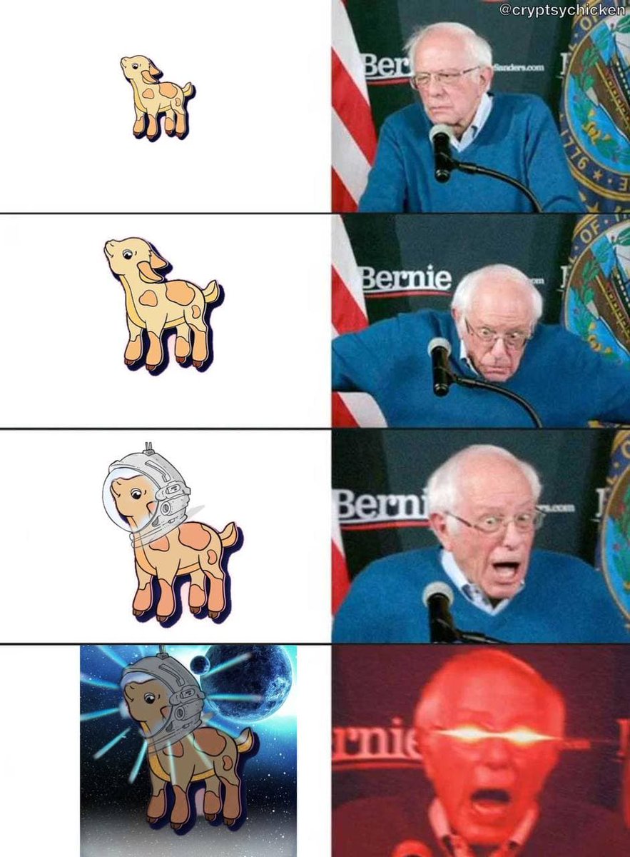 BabyGoatToken's tweet photo. BERNIE SAY WHAT #BERNIE lol https://t.co/qgKcHgCFna