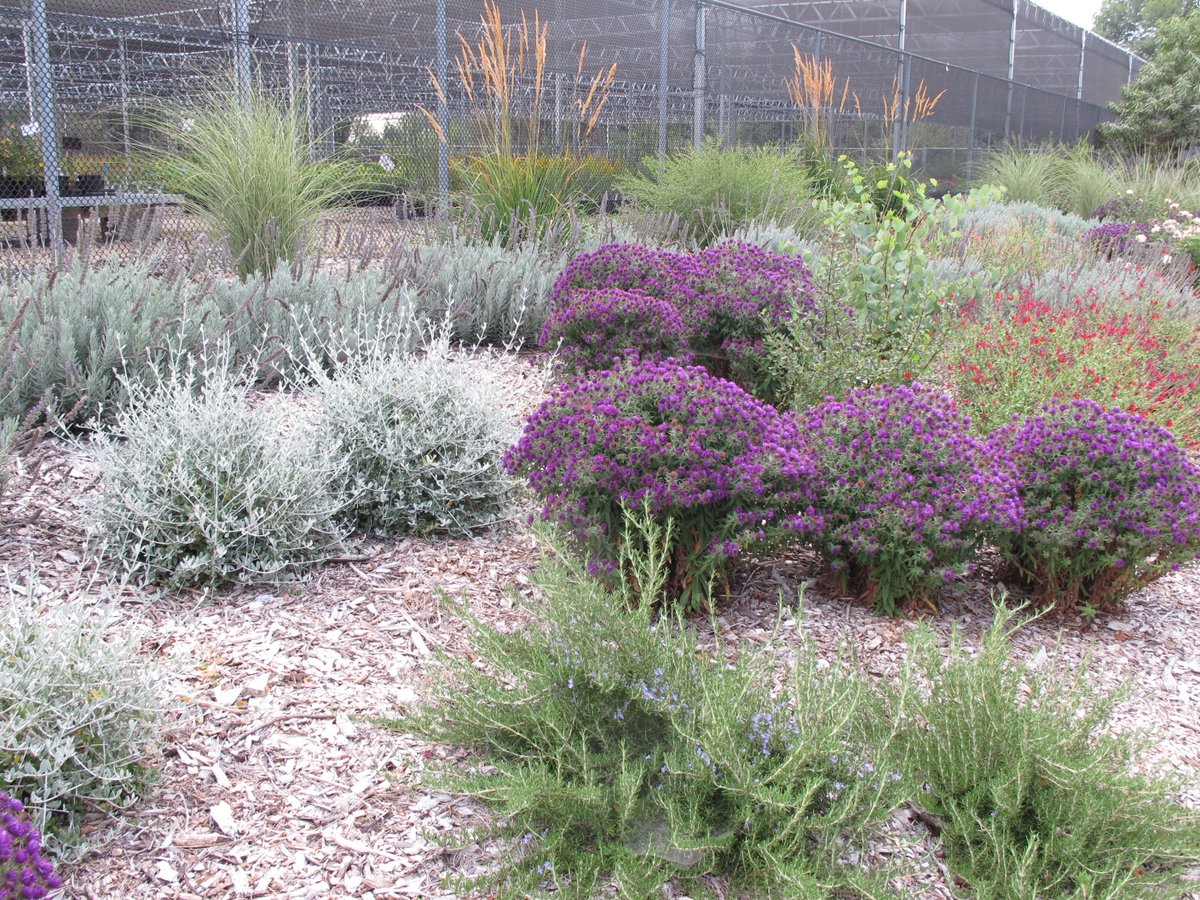 UCCE Stanislaus County Master Gardeners (@ucmgstanislaus) on Twitter photo Register for our free, online Water-Wise Tips for the Garden and Home class held Tuesday, June 29, 2021 at 6:00 p.m. Visit ucanr.edu/water-wise/2021
#WaterConservation
<a href="/UCMasterGarden/">UC Master Gardeners 🌱</a> Register for our free, online Water-Wise Tips for the Garden and Home class held Tuesday, June 29, 2021 at 6:00 p.m. Visit ucanr.edu/water-wise/2021
#WaterConservation
<a href="/UCMasterGarden/">UC Master Gardeners 🌱</a>