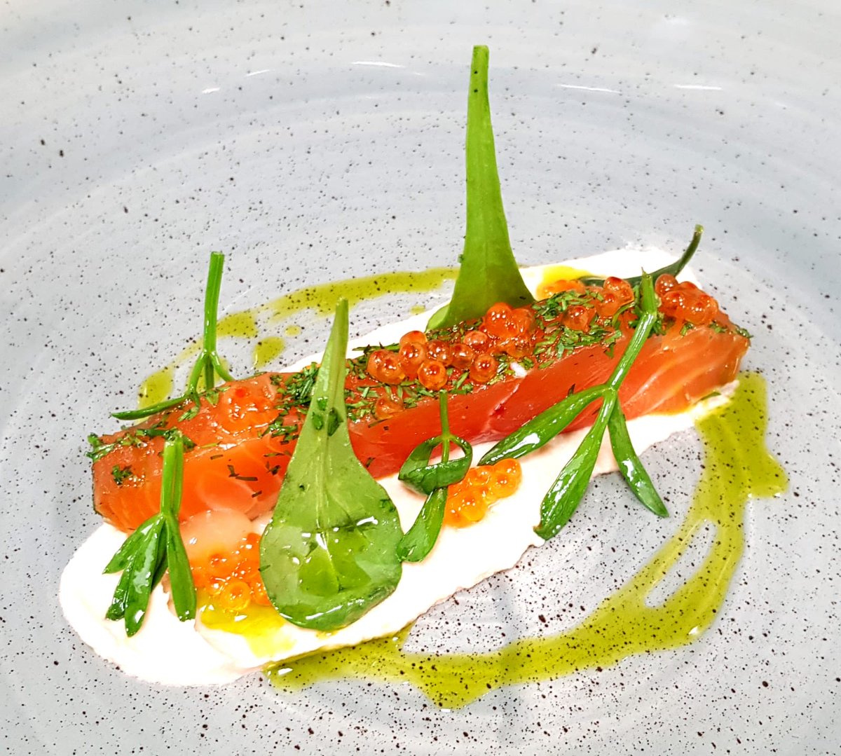 Salmon starter